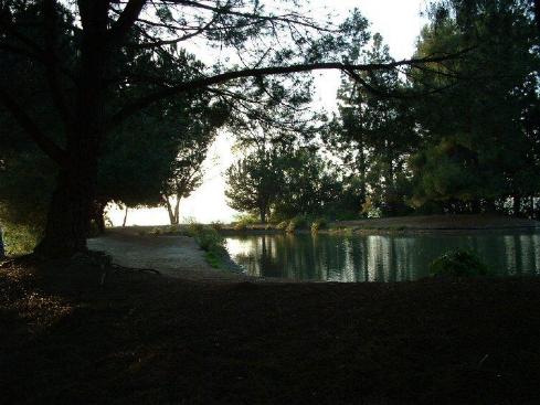 Wilderness View from Montecito Heights